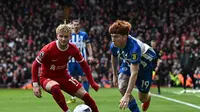 3 Catatan Menarik usai Liverpool Menang Susah Payah atas Brighton di Liga Inggris: Gawang Kesukaan Mo Salah!