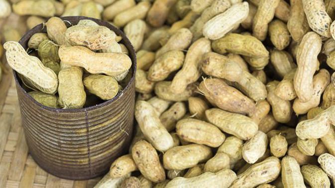 6 Manfaat Mengagumkan Kacang Tanah Buat Kesehatan Tubuh Beauty