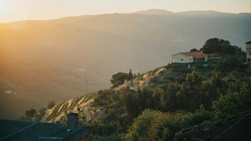 Taman Nasional Komodo Dinobatkan Jadi Tempat Terindah ke-2 di Dunia, Siapa di Posisi 1?