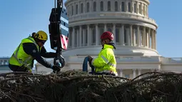 Pekerja memasang pengait saat akan menempatkan pohon Natal raksasa di halaman Gedung Capitol AS di Washington, Senin (27/11). Pohon Natal setinggi 79 kaki itu untuk persiapan menyambut Natal. (JIM WATSON/AFP)