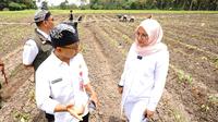 (Foto:Dok.Pemkab Banyuwangi)