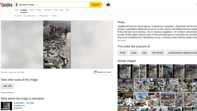Hasil Penelusuran Yandex.