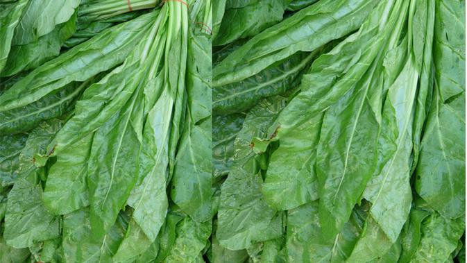 11 Manfaat Sayur Kailan Bagi Kesehatan Tubuh Citizen6 Liputan6 Com