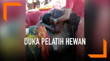 Kepergian seekor gajah bernama Parthan membuat seorang pelatih hewan berduka di India. Pelatih tersebut telah bersama Parthan selama 10 tahun.