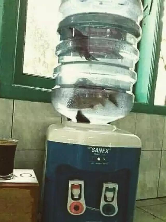 6 Potret Air Galon Nyeleneh Ini Bikin Tepuk Jidat, Jadi Malas Minum