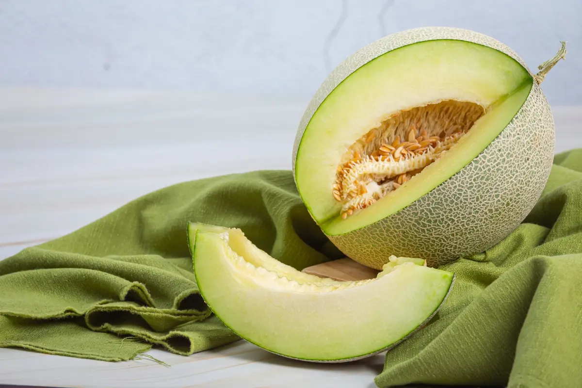 Buah Melon