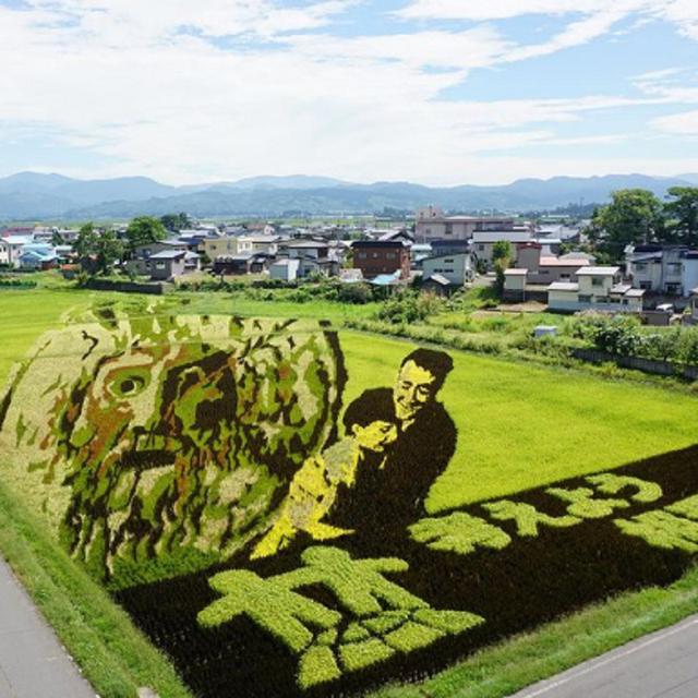 Uniknya Tanbo Art, Seni Melukis Sawah Ala Masyarakat Jepang