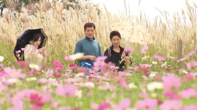 Musim Gugur menjadi salah satu musim favorit warga Korea Selatan. Banyak festival digelar saat musim gugur.