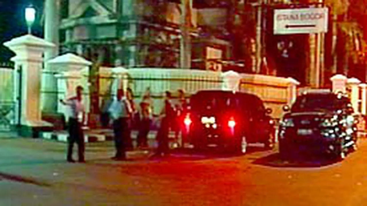 201106alap_olive1.jpg
