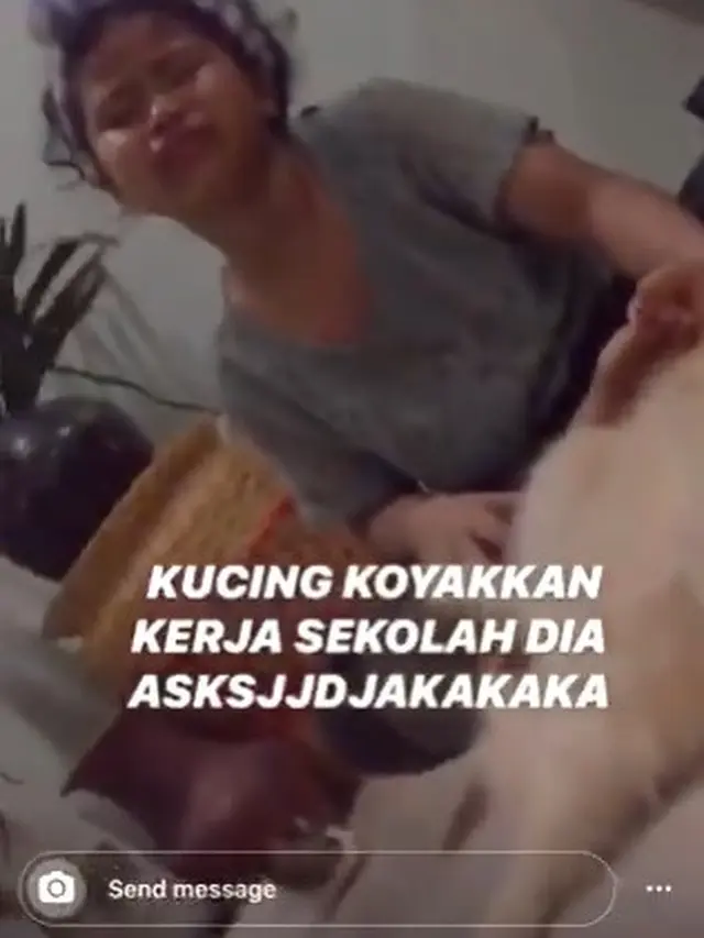 Bocah nangis tugasnya dirusak kucing