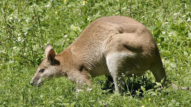 [Bintang] 7 Tempat di Indonesia yang Serupa dengan Destinasi Negara Lain