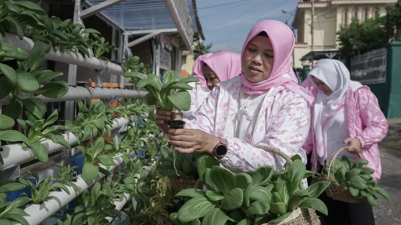 Program BRInita Sulap Lahan Sempit Jadi Urban Farming yang Produktif Bandar Lampung