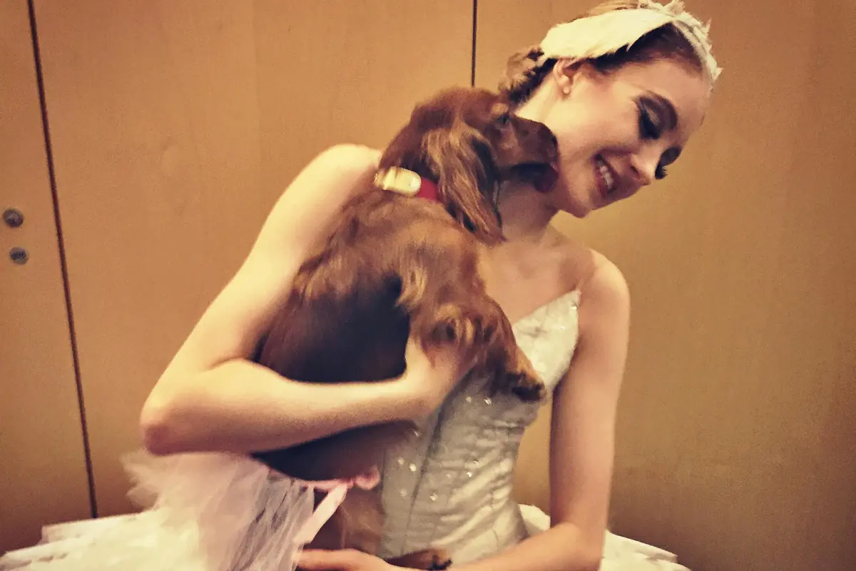 6 Foto Anjing di Studio Balet Ini Sanggup Bikin Kamu Merasa Gemas