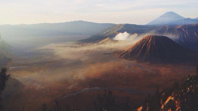 Savana Gunung Bromo Terbakar,`Belasungkawa Alamku`