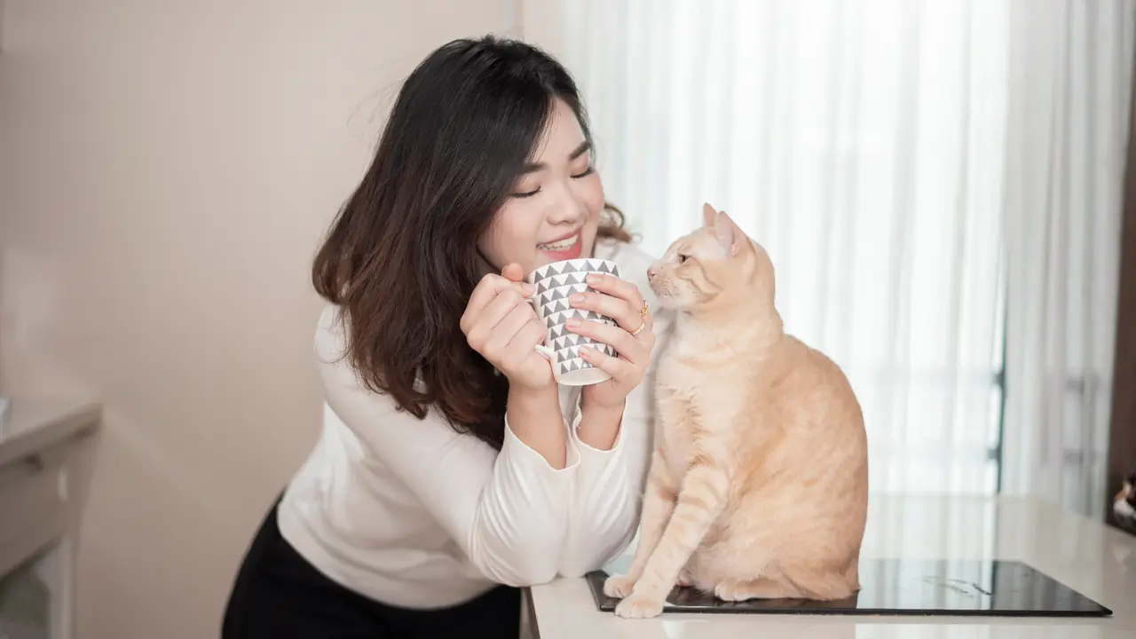 perempuan dan kucing