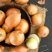 ilustrasi cara mengolah bawang bombay/Evgeniya369/shutterstock