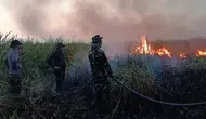 Karhutla di TN Way Kambas Capai 802 Hektare, Water Bombing Disiapkan