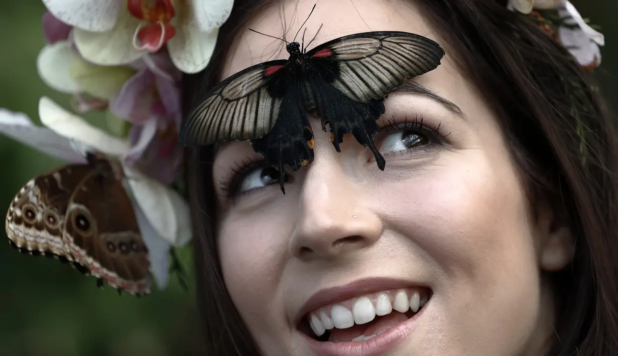 Jessie May Smart tersenyum saat berpose dengan yang menghinggapi wajahnya, sebelum pembukaan, "Butterflies in the Glasshouse", di RHS Wisley di Wisley, Inggris, (13/1). Ditempat ini sedikitnya terdapat 6.000 kupu-kupu yang hidup bebas. (AFP/Adrian Dennis)