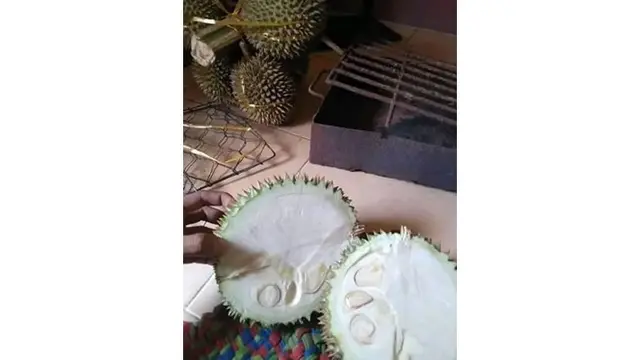 6 Momen Apes saat Mau Makan Buah Ini Bikin Kecewa