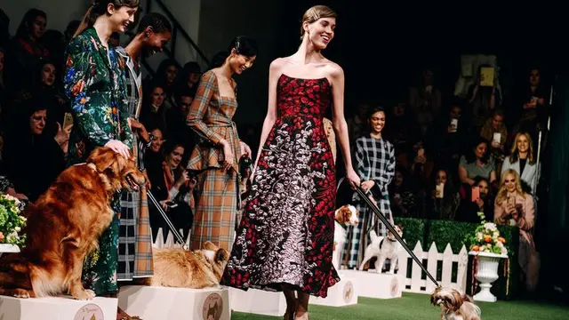 Pertunjukkan Anjing di New York Fashion Week 2019 Bikin Salah Fokus