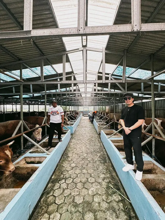 7 Potret Usaha Peternakan Sapi Milik Atta Halilintar, Ramai Jelang Idul Adha