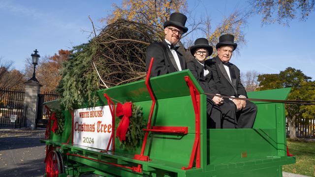 Kedatangan pohon natal untuk Gedung Putih pada Senin (25/11/2024). (X/@WhiteHouse)