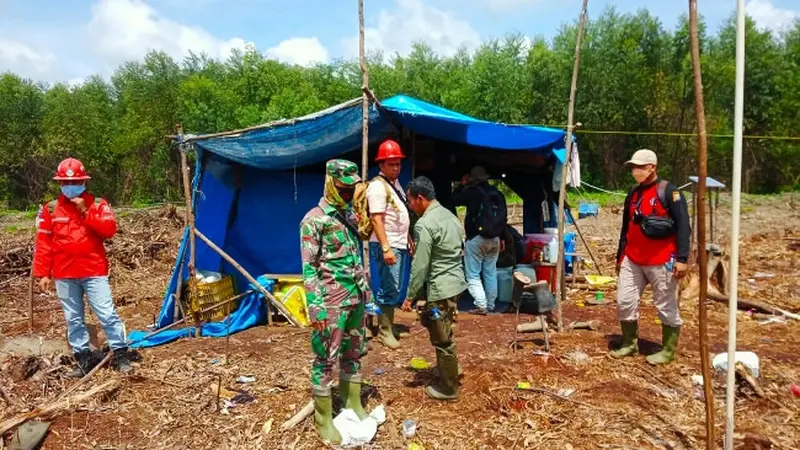 Petugas BBKSDA Riau bersama TNI dan pekerja PT Mutiara Sabuk Khatulistiwa mengecek lokasi remaja diserang harimau sumatra.