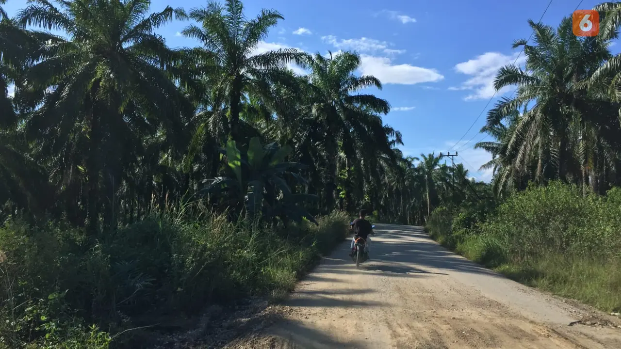 Kelapa Sawit
