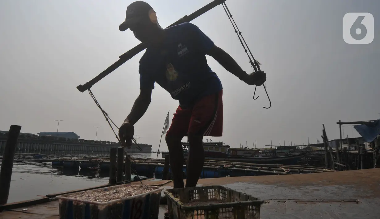 Penelitian yang dimuat di jurnal BMJ Global Health mengungkapkan mengganti daging merah dengan ikan sarden, herring, hingga ikan teri dapat mencegah 750 ribu kematian setiap tahun pada 2050. (merdeka.com/Imam Buhori)
