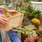 3 Trik Container Gardening yang Bikin Patio Kecil Terlihat Lebih Mewah
