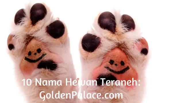 Foto: copyright ThinkStockPhotos.com