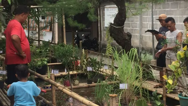 Selokan Indah