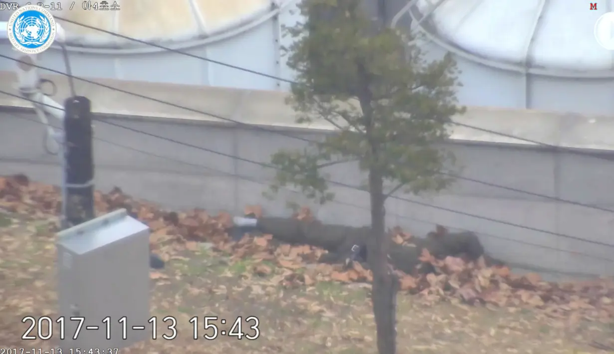 Rekaman CCTV memperlihatkan tentara Korea Utara terbaring di tanah, sebelum ditolong tentara Korea Selatan, setelah terkena tembakan dari rekannya saat berupaya, dalam rilis Komando PBB (UNC) di Seoul, Rabu (22/11). (United Nations Command via AP)
