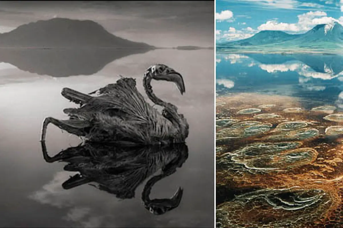 Foto: Nick Brandt & photobucket.com/seraiwallpapersm