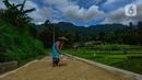 Petani menjemur gabah padi jenis baligo di kawasan Sukamakmur, Bogor, Jawa Barat, Sabtu (27/04/2024). (merdeka.com/Arie Basuki)