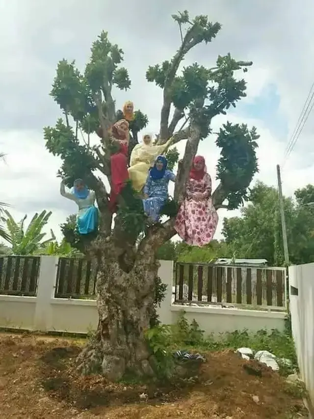 8 Potret Nyeleneh Orang di Atas Pohon, Ada yang Nyanyi Hingga Pacaran