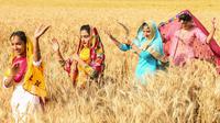 Pemuda Sikh menampilkan tarian tradisional rakyat Punjab atau Bhangra jelang festival panen Baisakhi di ladang gandum pinggiran Amritsar, India, 11 April 2021. Baisakhi adalah festival yang dirayakan di seluruh India utara, terutama di wilayah Punjab oleh komunitas Sikh. (NARINDER NANU/AFP)