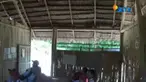 Murid SDN 008 Rante Terate harus berjalan sejauh 5 kilometer untuk sampai di sekolah.