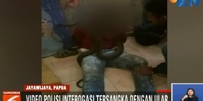 Viral, Polisi di Papua Interogasi Pelaku Jambret Gunakan Ular