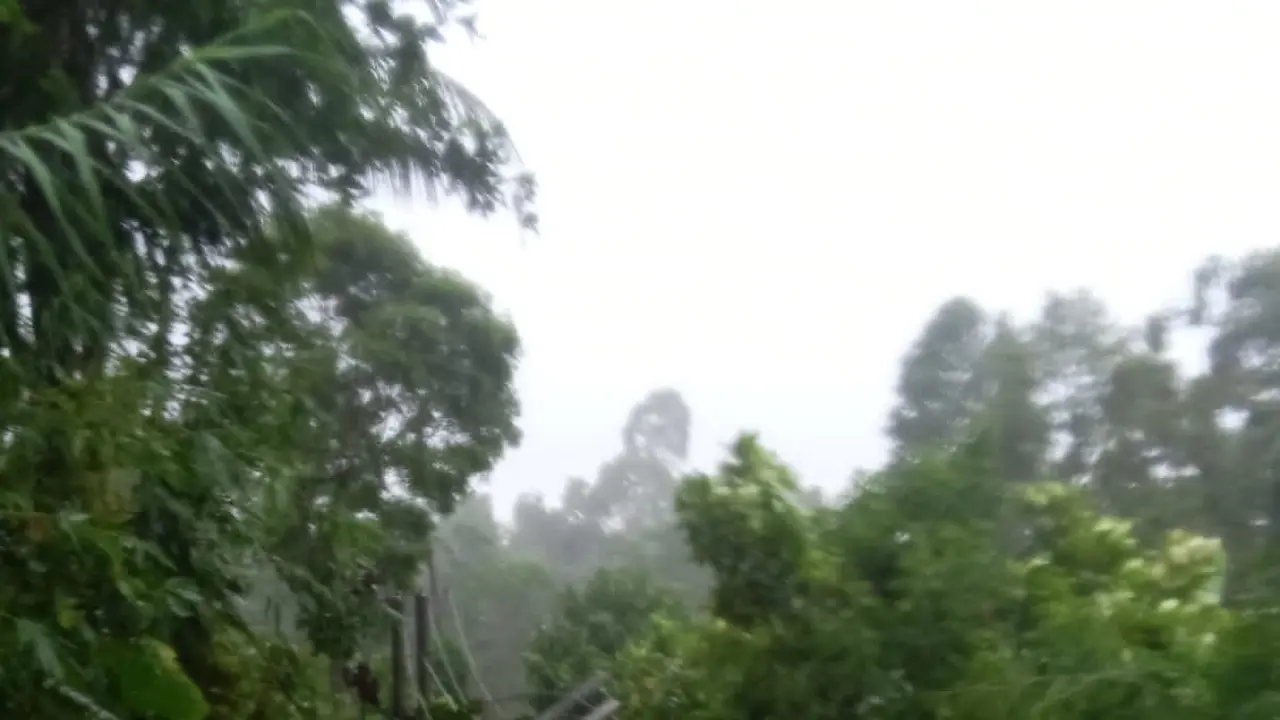 Tiang listrik di Lumajang roboh diterjang angin kencang. (Istimewa)