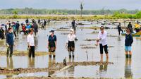 Presiden Jokowi menanam mangrove bersama sejumlah duta besar negara sahabat dan masyarakat di Desa Bebatu Kecamatan Sesayap Hilir Kabupaten Tana Tidung, Provinsi Kalimantan Utara, Selasa (19/10/2021).