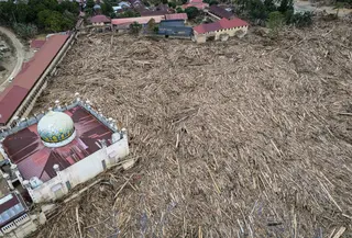 Sementara, area belakang pesantren yang sebelum bencana banjir bandang adalah kawasan asrama santri putra dengan kolam-kolam untuk ternak ikan dan perkebunan, kini dipenuhi potongan kayu besar. Tampak foto udara menunjukkan tumpukan pohon tumbang yang tersapu banjir bandang sekitar tiga minggu lalu di Pesantren Darul Mukhlisin dan masjid yang terhubung dengan pesantren tersebut di Aceh Tamiang, pada Minggu 14 Desember 2025. (Foto oleh AFP)