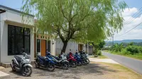 9 Tanaman Peneduh untuk Parkiran Motor, Rekomendasi Pohon Estetik Bikin Jok Adem