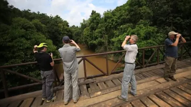 Sejumlah wisatawan sedang mengamati burung di Hutan Harapan, Jambi. (Liputan6.com/Dok. Hutan Harapan/Gresi Plasmanto)