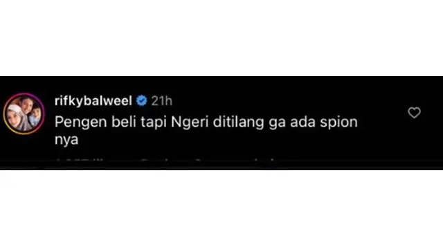 6 Komentar Kocak Rekan Seleb Soal Raffi Ahmad Jual Private Jet di Instagram