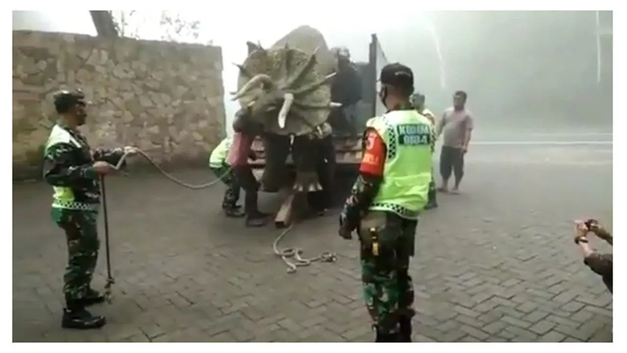 Heboh Video Dinosaurus Triceratops Muncul di Magetan, Ini Fakta Dibaliknya