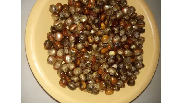 6 Potret Masak Popcorn Tak Sesuai Ekspektasi Ini Bikin Kecewa