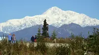 6 Fakta Menarik Gunung Denali, Puncak Tertinggi Amerika Utara di Dekat Pusat Pegunungan Alaska