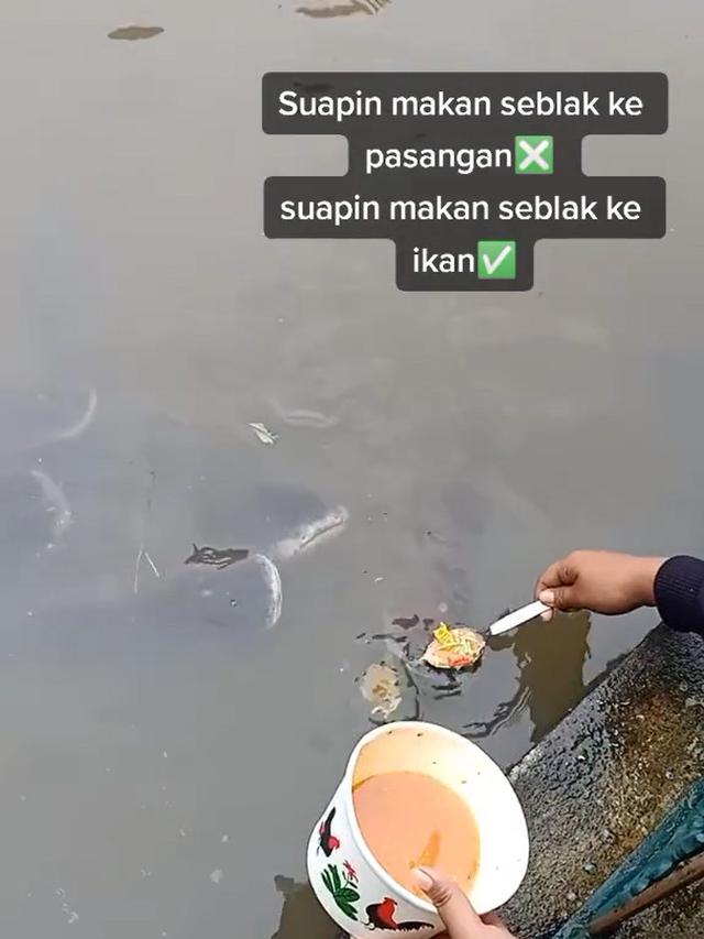 Tingkah wanita menyuapi ikan lele pakai seblak.