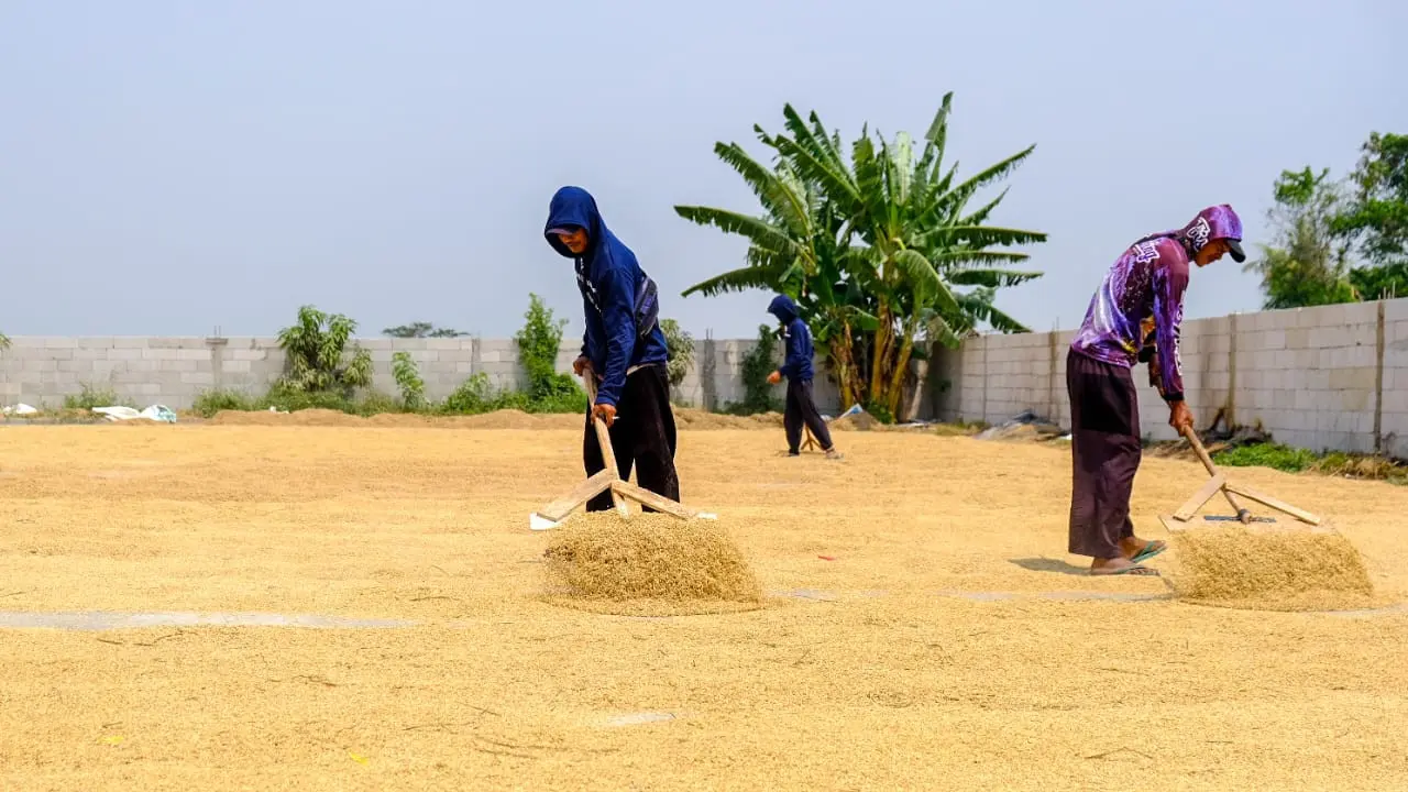 PT Wilmar Padi Indonesia memulai program dalam membantu meningkatkan kemampuan pelaku usaha penggilingan melalui Mill Engagement Program (MEP).